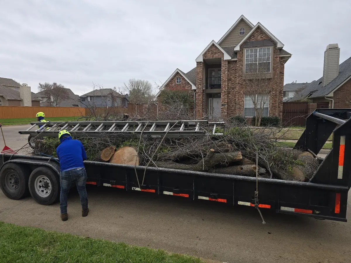 Expert Tree Pest Control with proper safety equipment in Monsey